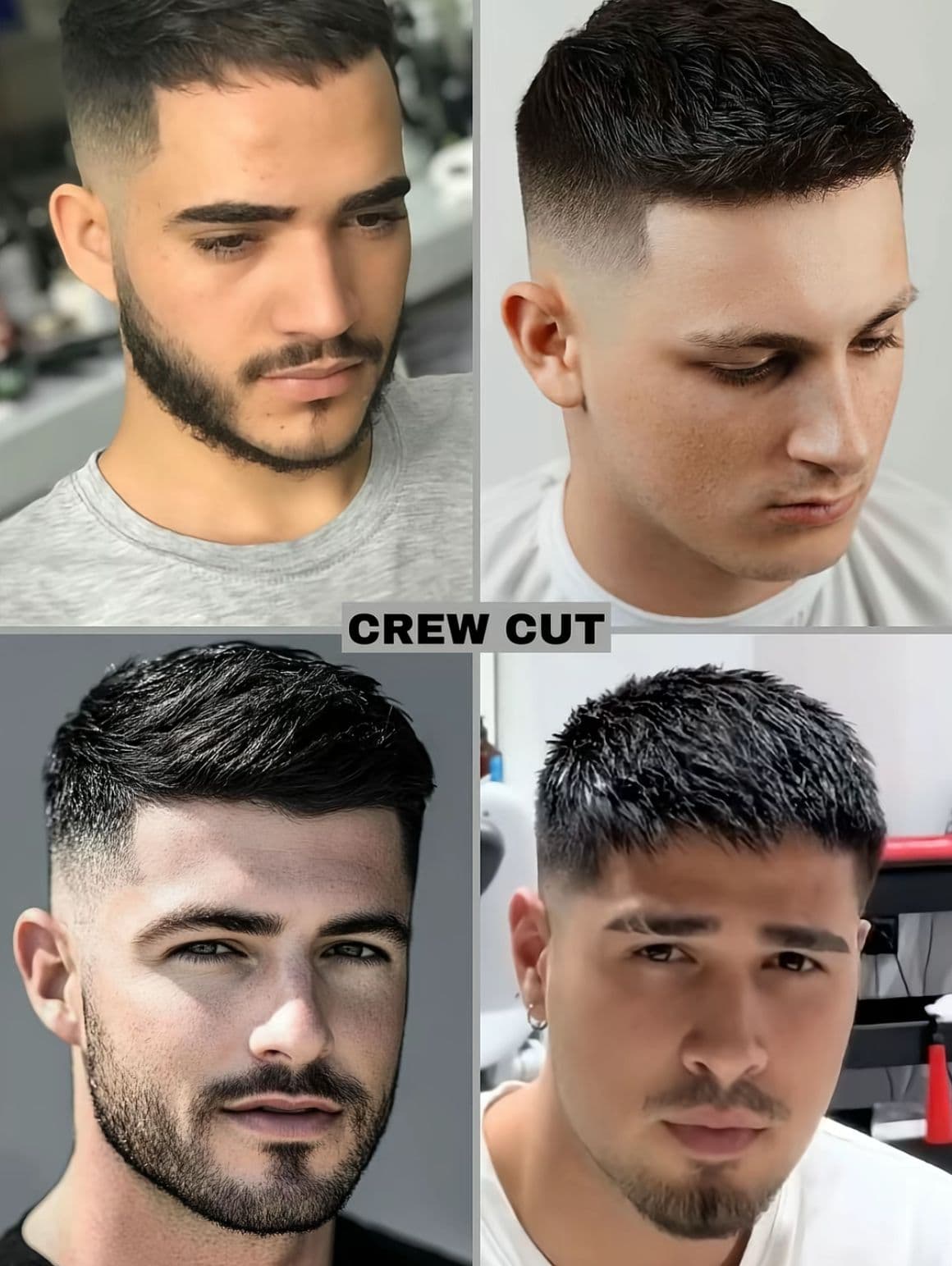 Crew Cut
