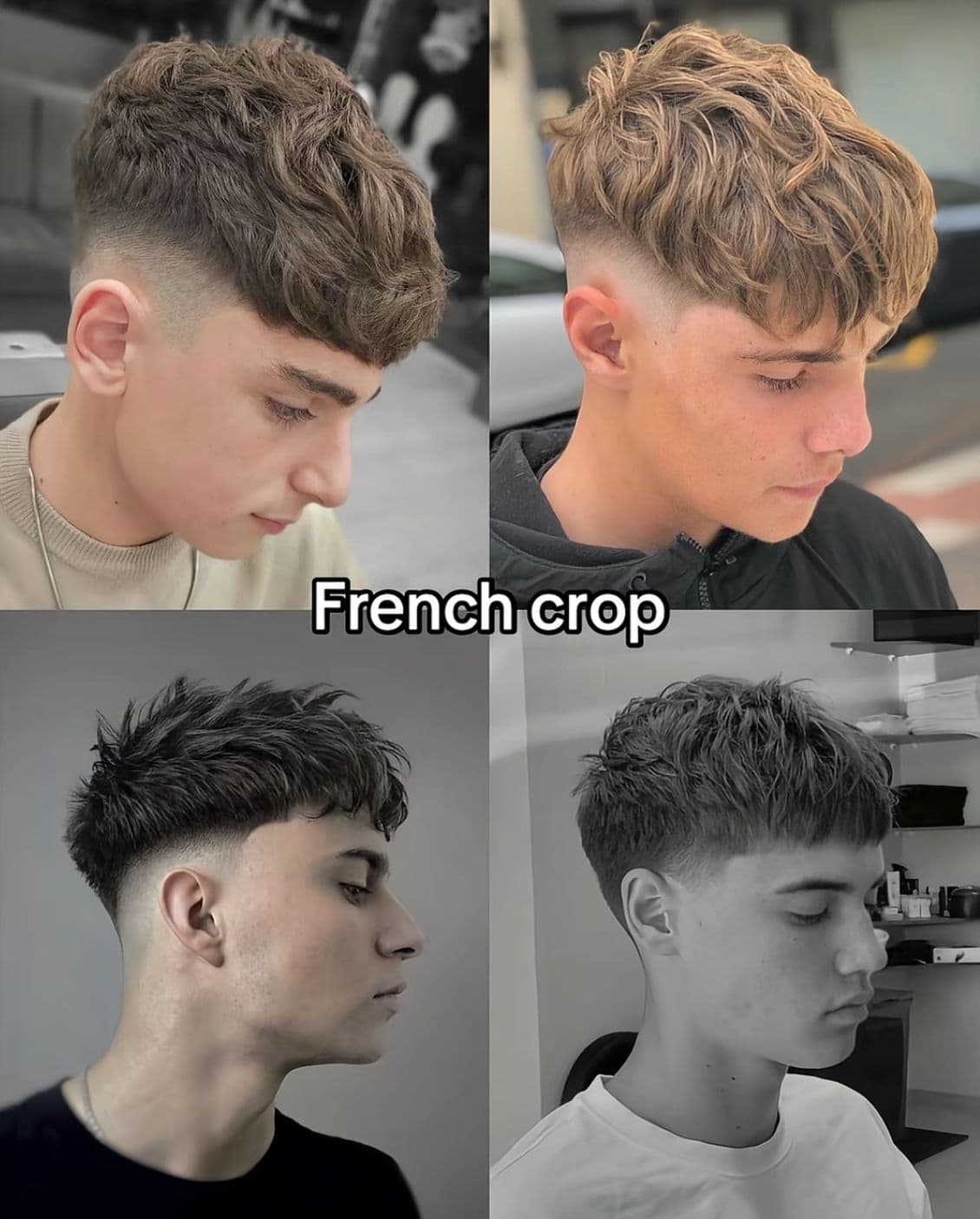 French Crop